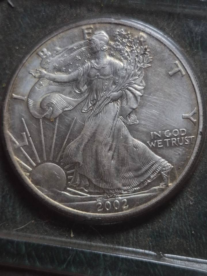 2002 silver American Eagle